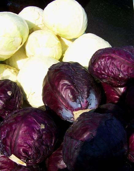 Mor lahananın faydaları saymakla bitmiyor