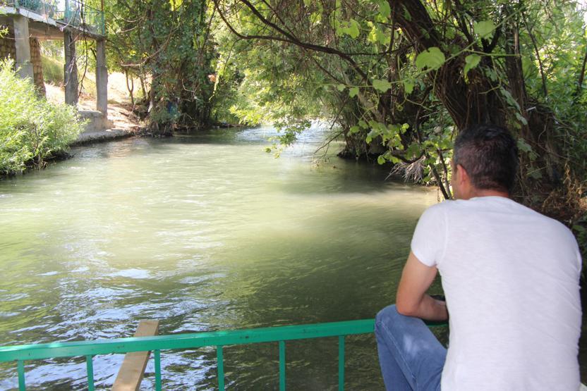 Şırnakta, su samuru görüntülendi