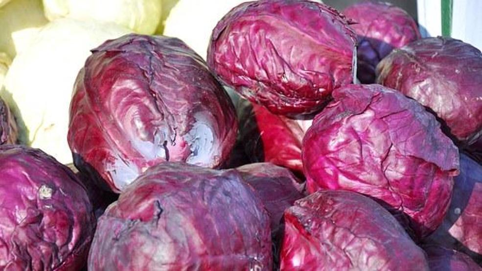 Mor lahana faydaları ile şaşırtıyor