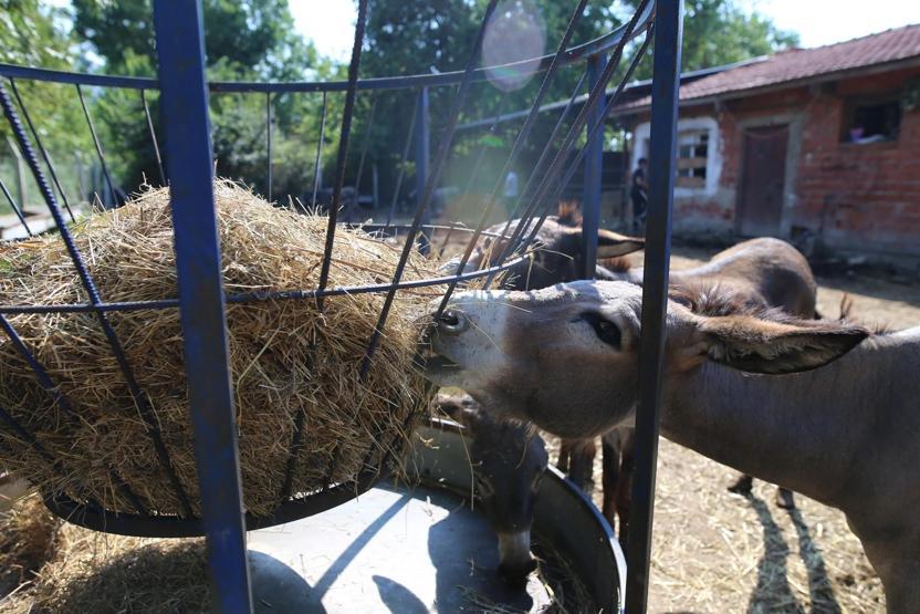 Babasını kanserden kaybedince bu işe başladı... Türkiye’nin 81 ilinden siparişlere yetişemiyor
