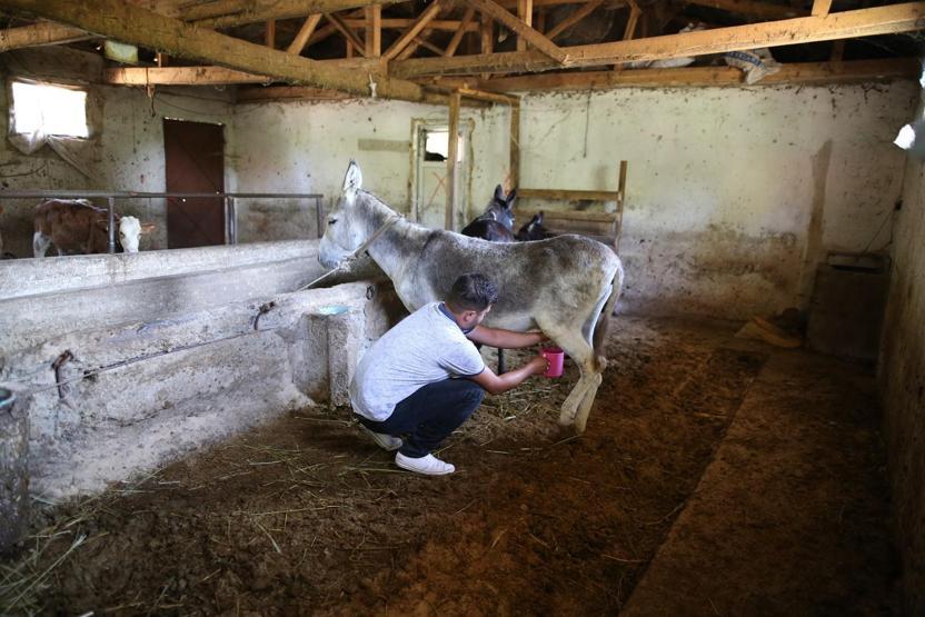 Babasını kanserden kaybedince bu işe başladı... Türkiye’nin 81 ilinden siparişlere yetişemiyor
