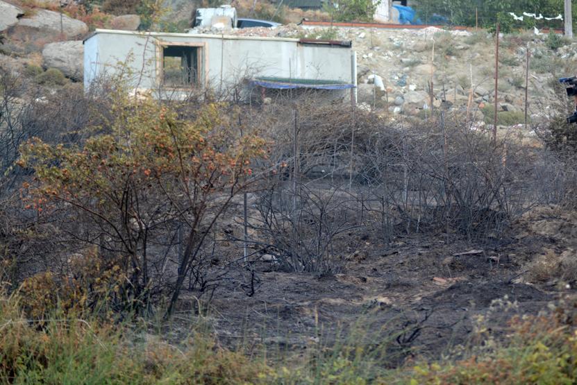 Marmara Adasındaki yangının bilançosu gün ağarınca ortaya çıktı