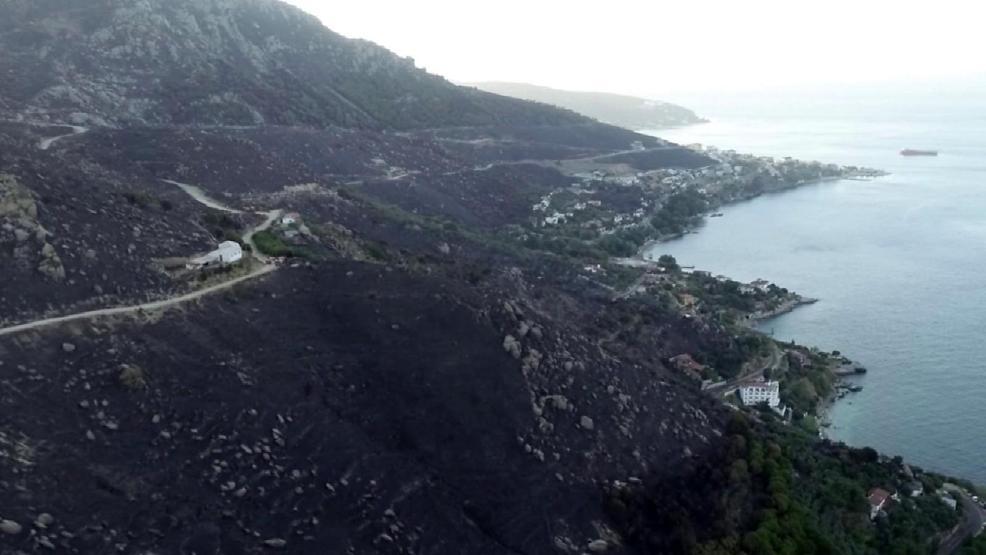 Marmara Adasındaki yangının bilançosu gün ağarınca ortaya çıktı
