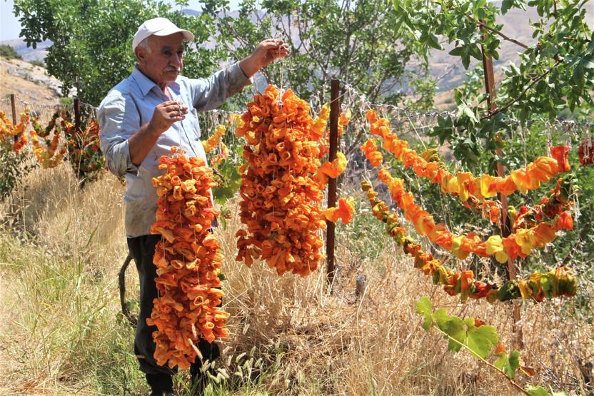 Kış hazırlıkları başladı Bu da kurutmalık’ mesaisi
