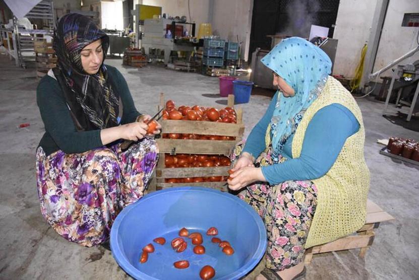 Sakaryada yapılıyor Almanyadan talep yağıyor