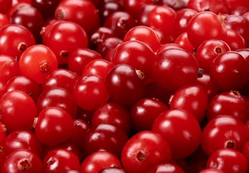 Kekreyemiş meyvesi nedir Kekreyemiş faydaları nelerdir