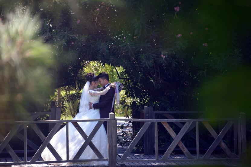 Botanik bahçesi, fotoğraf stüdyosu oldu