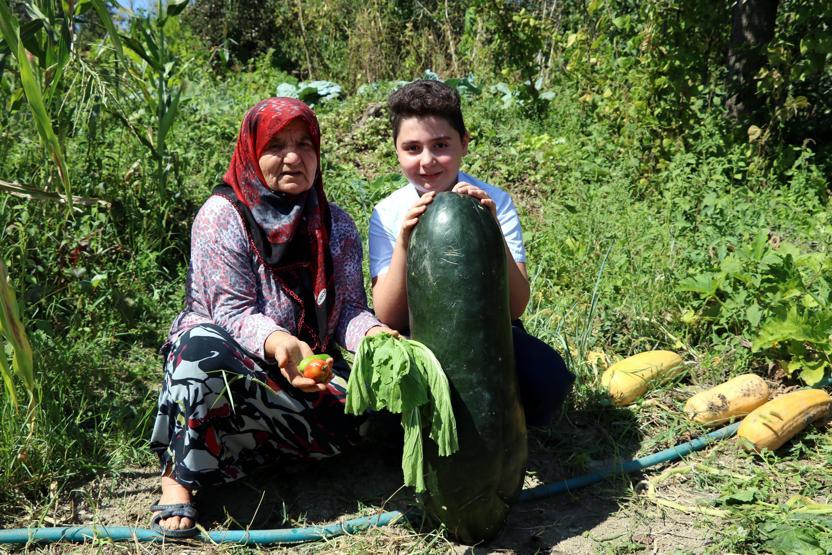 Çin salatalığından sonra Çin domatesi ve marulu da çıktı