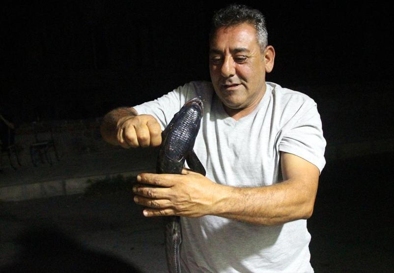 “30 yıldır balıkçıyım ilk kez rastladım”