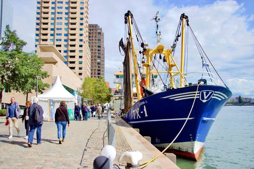 Hollandadaki Su Festivaline yoğun ilgi: 345 bin kişi katıldı