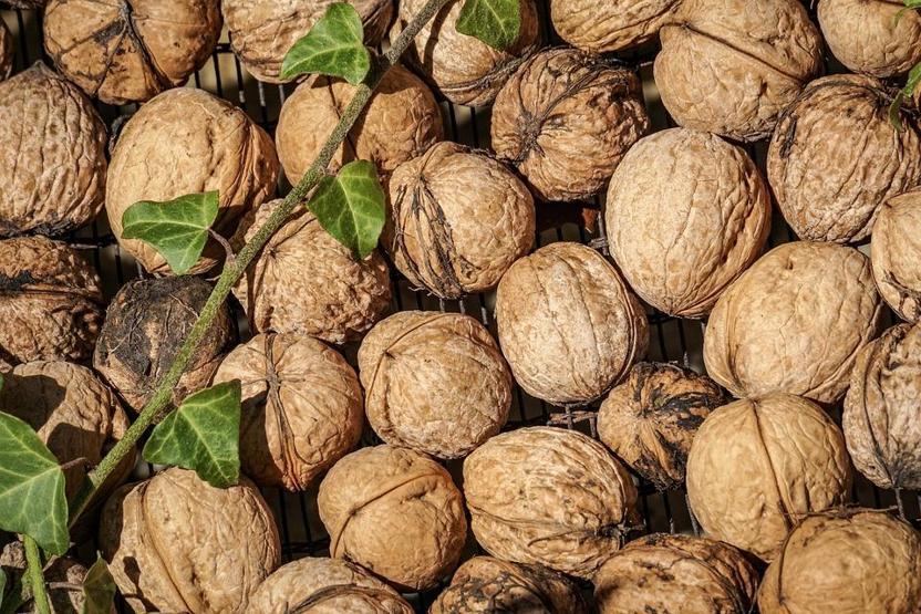 5 tane ceviz yiyin, 4 saat bekleyin Etkisine inanamayacaksınız