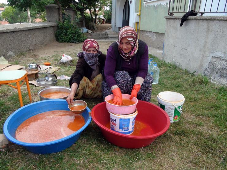Doğada kendiliğinden yetişiyor Kilosu 30 TL