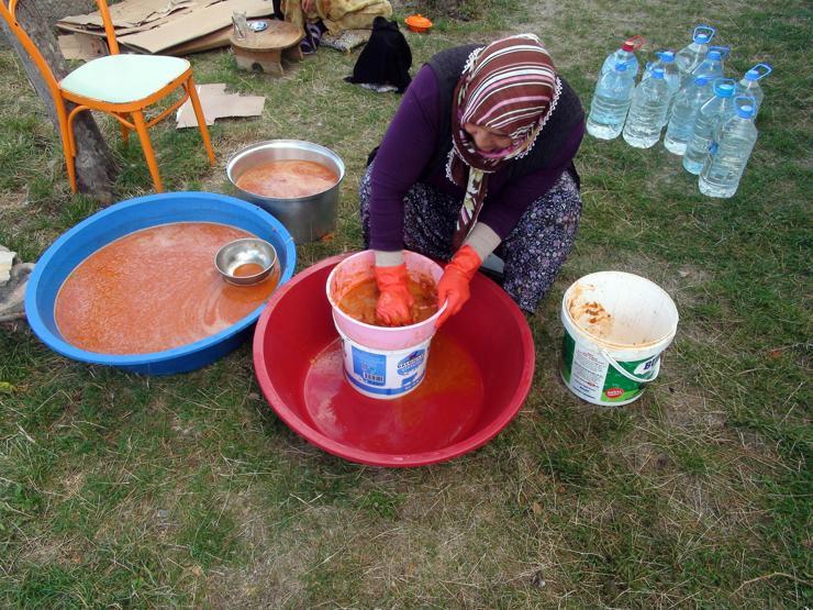 Doğada kendiliğinden yetişiyor Kilosu 30 TL