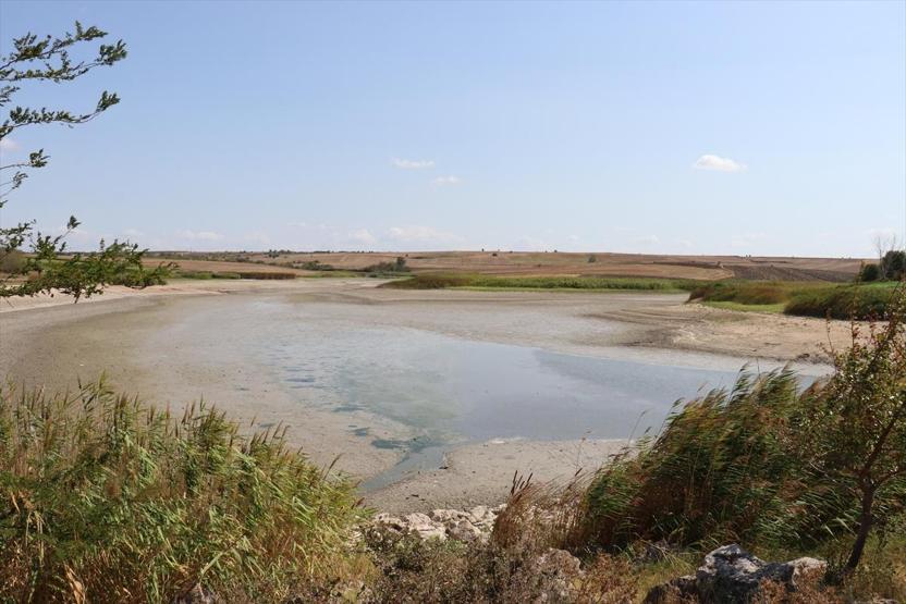Kırklarelinde korkutan balık ölümleri