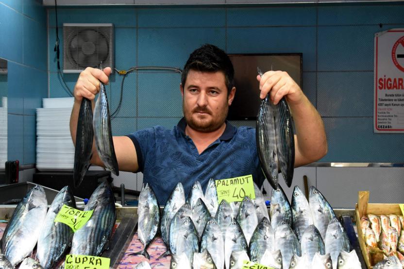 Çanakkale Boğazında yakalanan ilk palamutlar tanesi 40 liradan satılıyor