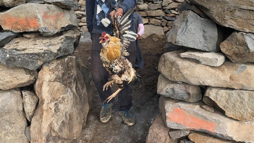 Karsta yaylacıların dönüş yolculuğu