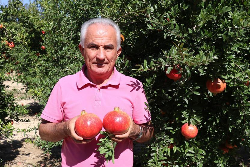 Hicaz narı yurt dışından büyük talep görüyor