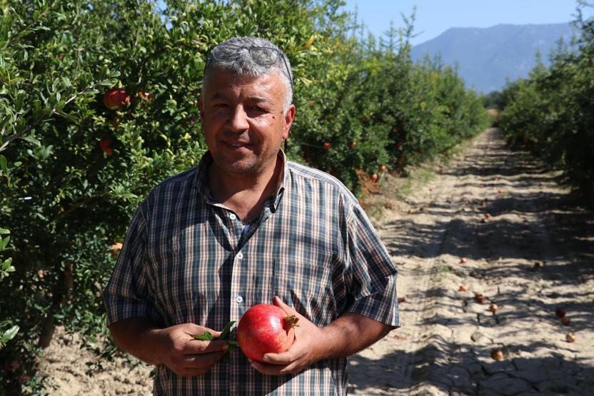 Hicaz narı yurt dışından büyük talep görüyor