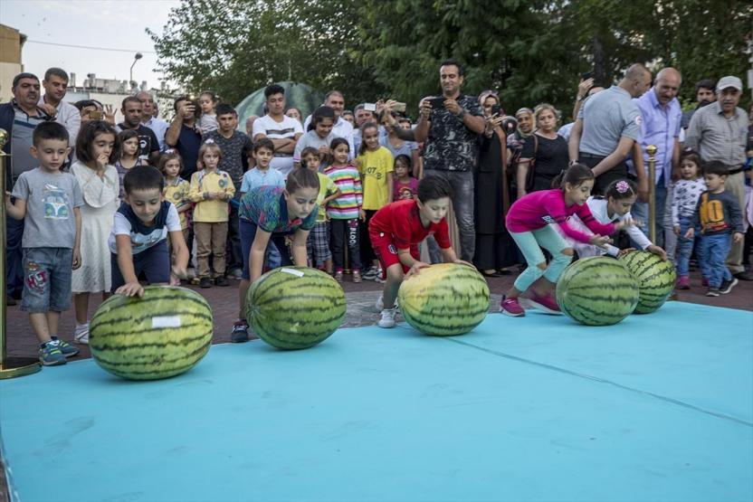 Karpuzun ağırlığını duyan şaşkına döndü