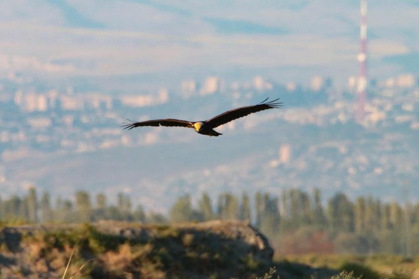 Ağrıda sonbahar ve kış birlikte yaşanıyor
