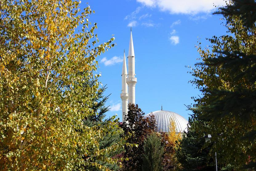 Erzurumda sonbaharın eşsiz manzarası büyülüyor