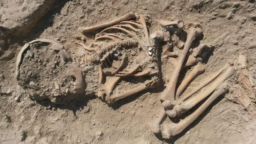 Arslantepe’de 5 bin 700 yıllık çocuk iskeleti bulundu