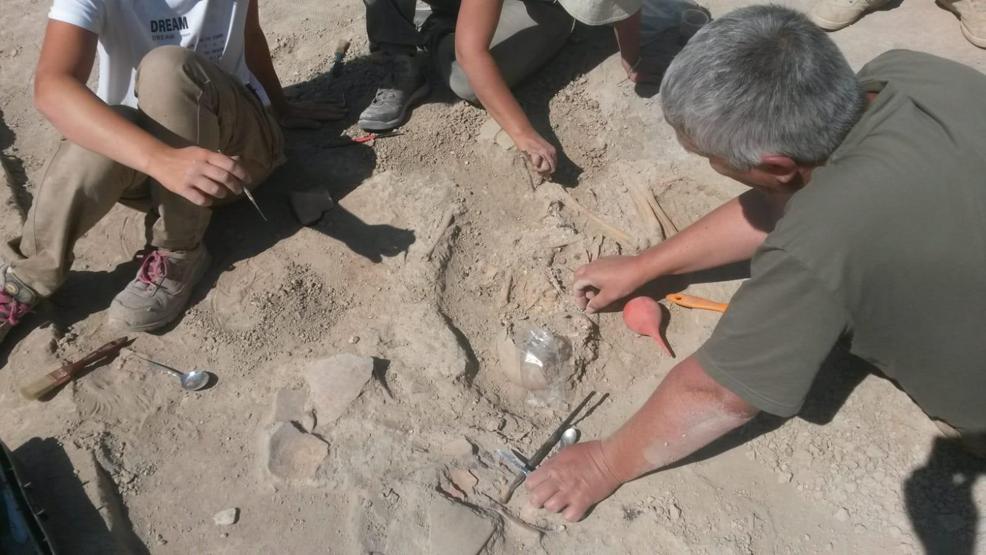Arslantepe’de 5 bin 700 yıllık çocuk iskeleti bulundu