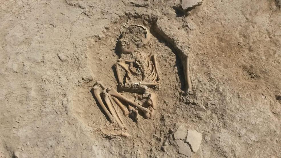 Arslantepe’de 5 bin 700 yıllık çocuk iskeleti bulundu
