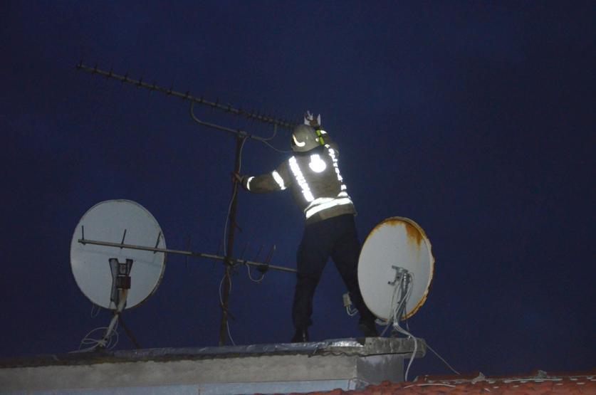 Gece yarısı güvercin kurtarma operasyonu
