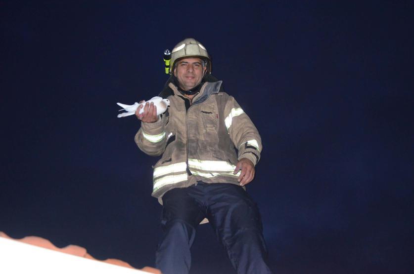 Gece yarısı güvercin kurtarma operasyonu