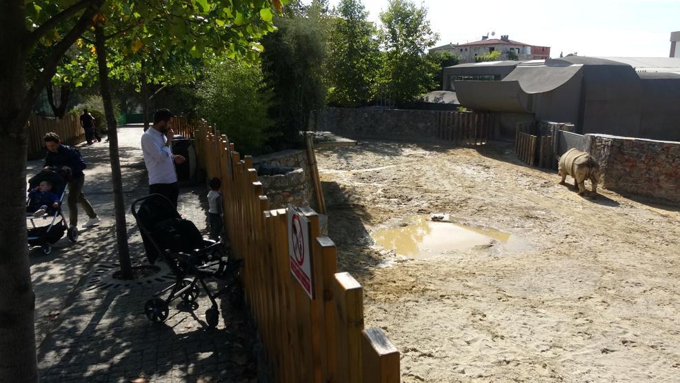 Hayvanat bahçesinde kış hazırlıkları başladı