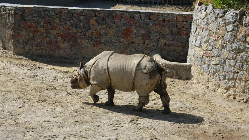 Hayvanat bahçesinde kış hazırlıkları başladı