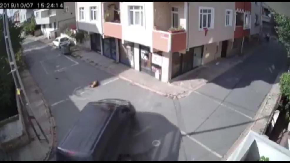 Yolda uyuyan köpeği ezdi, hiçbir şey olmamış gibi yoluna devam etti