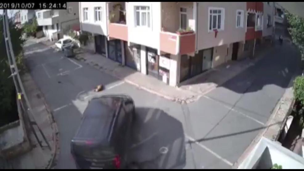 Yolda uyuyan köpeği ezdi, hiçbir şey olmamış gibi yoluna devam etti
