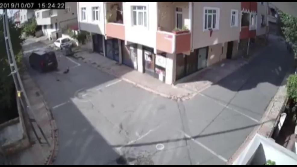 Yolda uyuyan köpeği ezdi, hiçbir şey olmamış gibi yoluna devam etti