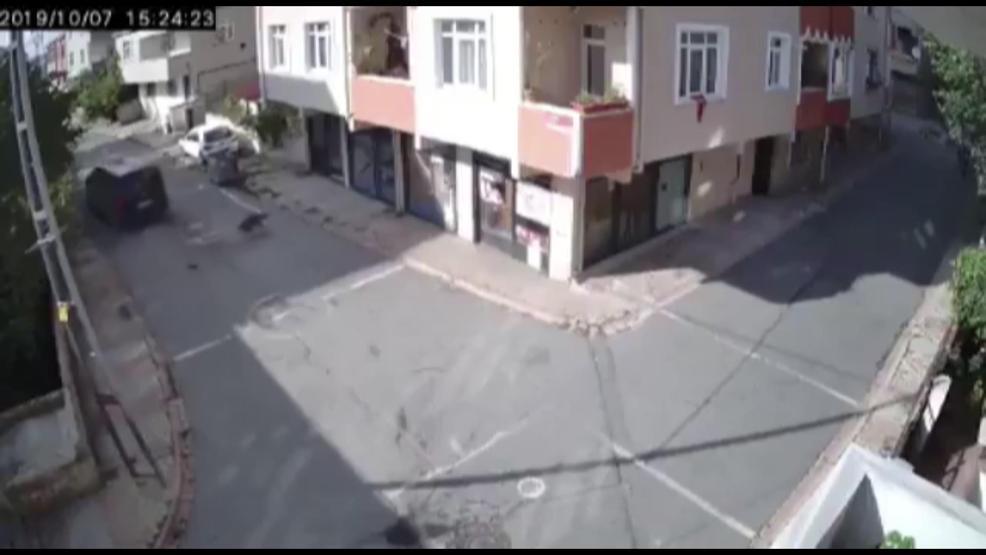 Yolda uyuyan köpeği ezdi, hiçbir şey olmamış gibi yoluna devam etti
