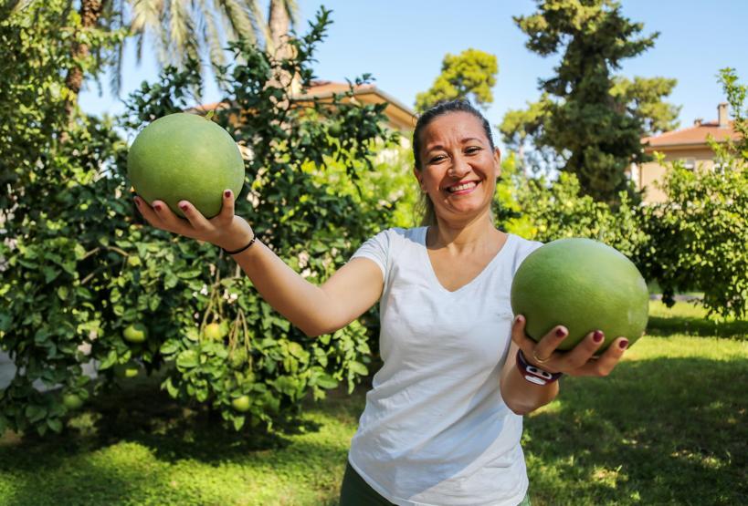 Türkiyede sadece Antalyada yetişiyor Pomelo meyvesi tam bir vitamin deposu