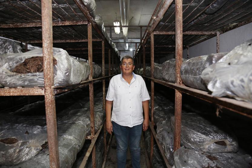Mantarın başkenti... Türkiyedeki üretimin yüzde 54ünü onlar yapıyor