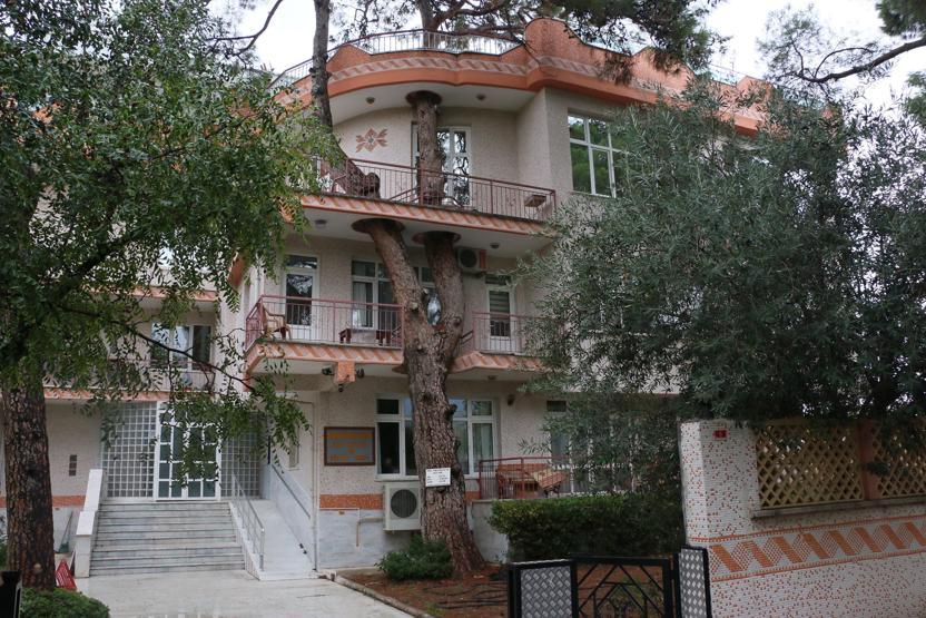 3 asırlık ağaç balkonun ortasından geçiyor