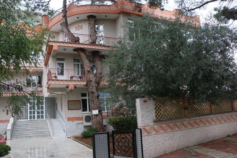 3 asırlık ağaç balkonun ortasından geçiyor