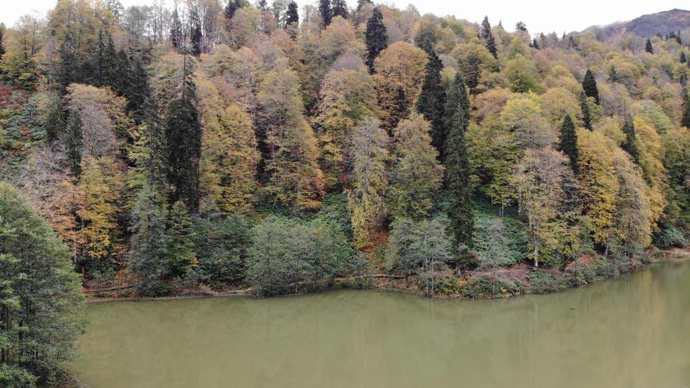 Borçka Karagölü sonbaharda ayrı bir güzel