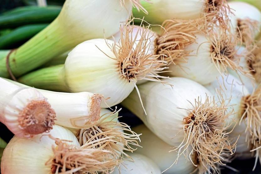 Mide ve kolon kanserine karşı koruyucu etkisi kanıtlandı