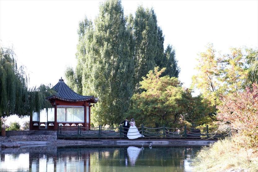 Botanik park evlenecek çiftlerin fotoğraf stüdyosu oldu