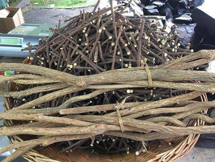 Dikkat Bu besini fazla tüketirseniz zeka geriliğine sebep oluyor