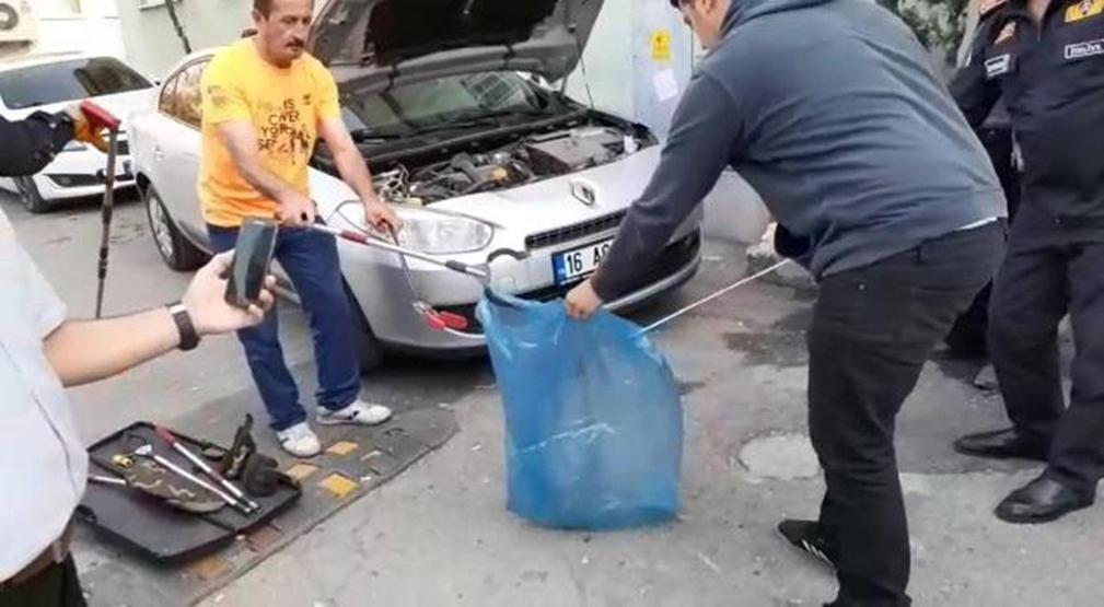 Bursada arabanın motorundan yılan çıktı