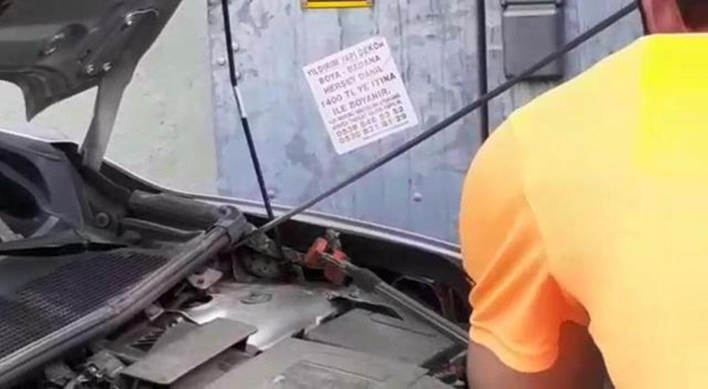 Bursada arabanın motorundan yılan çıktı