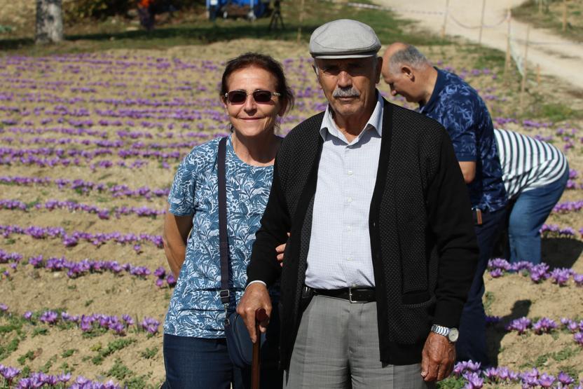 Mutluluk iksiri: Safran