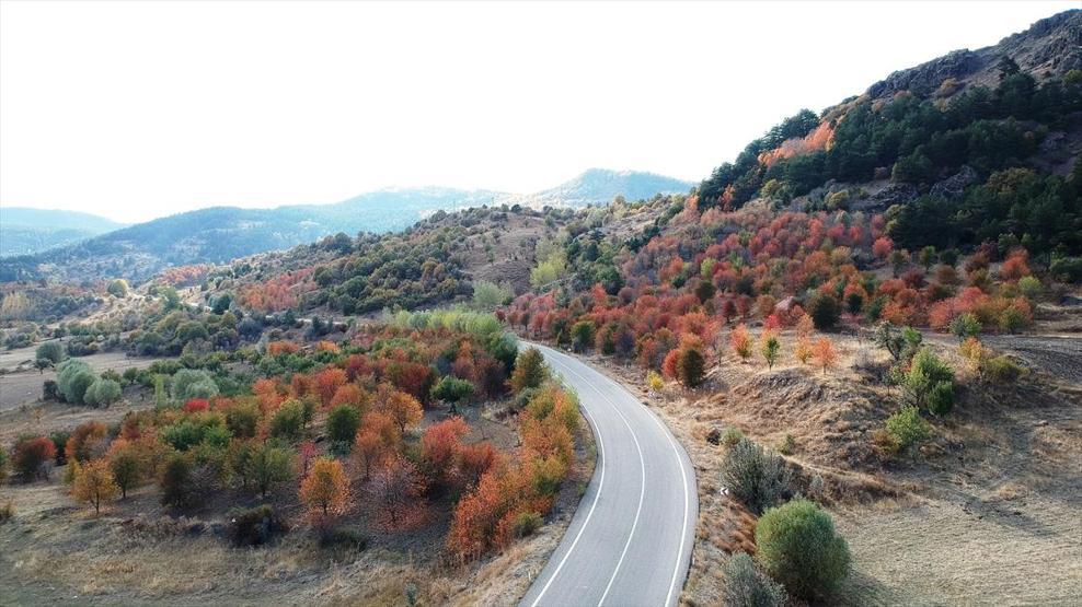 Karagöl sonbaharda cezbediyor