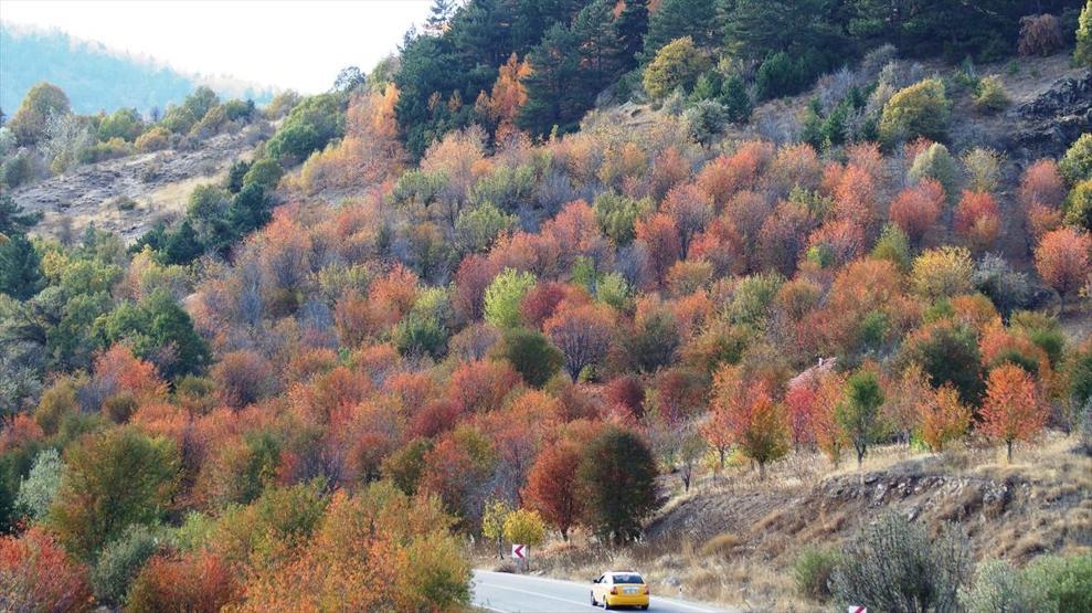 Karagöl sonbaharda cezbediyor