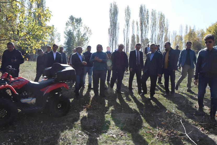 810 yıllık kestane ağacından hasat